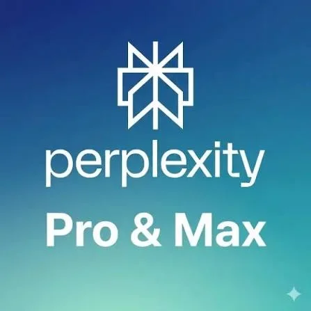 PERPLEXITY PRO