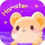 هامستر - Hamster