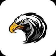 صقر - Hawk